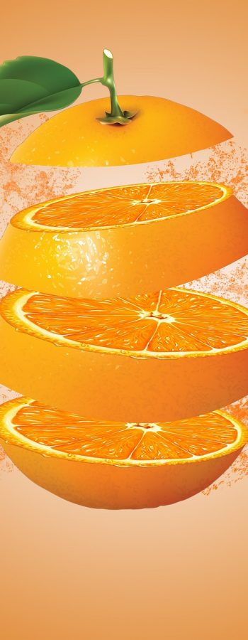 orange, slice, design, fruit, citrus, food, vitamin, fruit design, slice of orange, orange, orange, orange, orange, orange, design, fruit, fruit