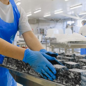 Workers in a sterile environment handling cheese, focused on hygiene and quality control.